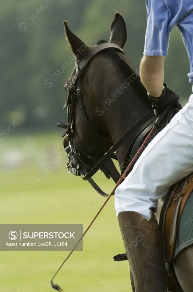 Mid section view of a polo player