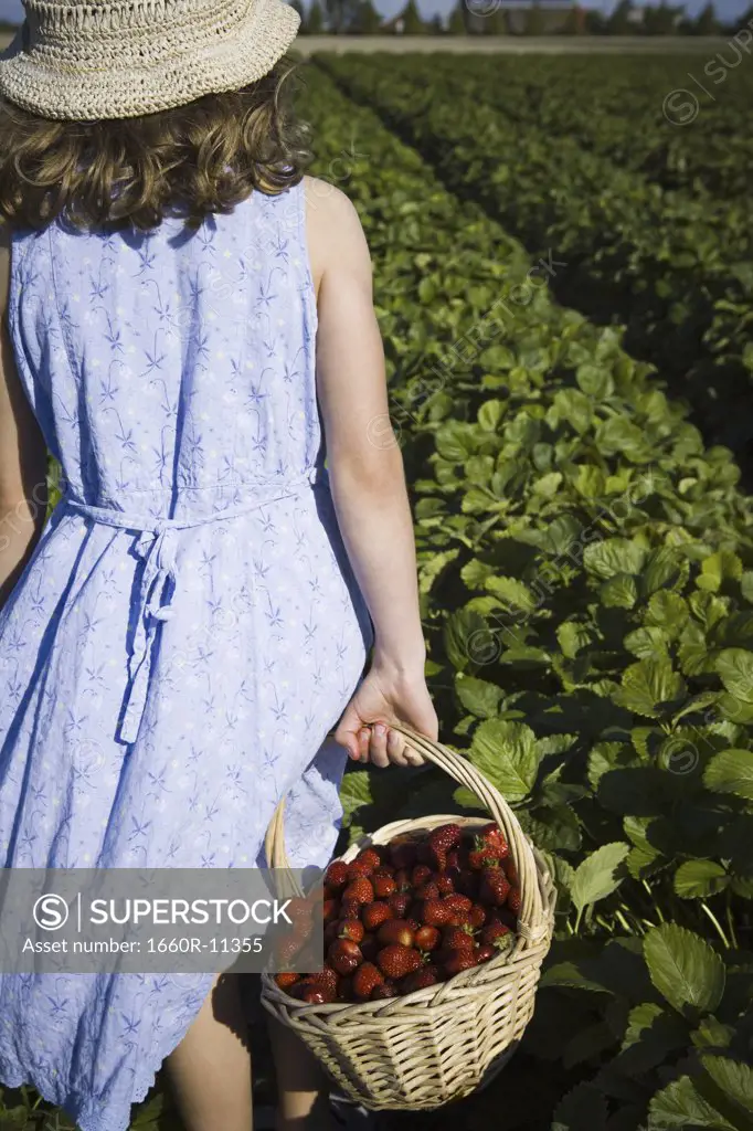 Rear view of a girl carrying a basket of strawberries on a field