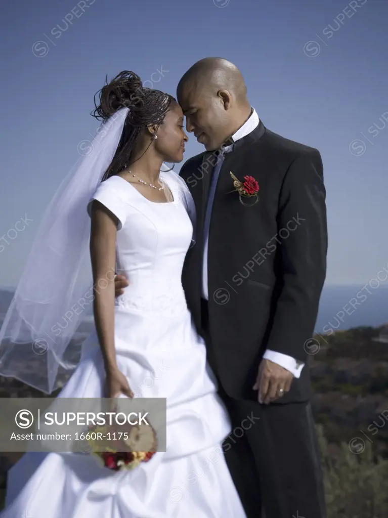 Portrait of a newlywed couple looking at each other