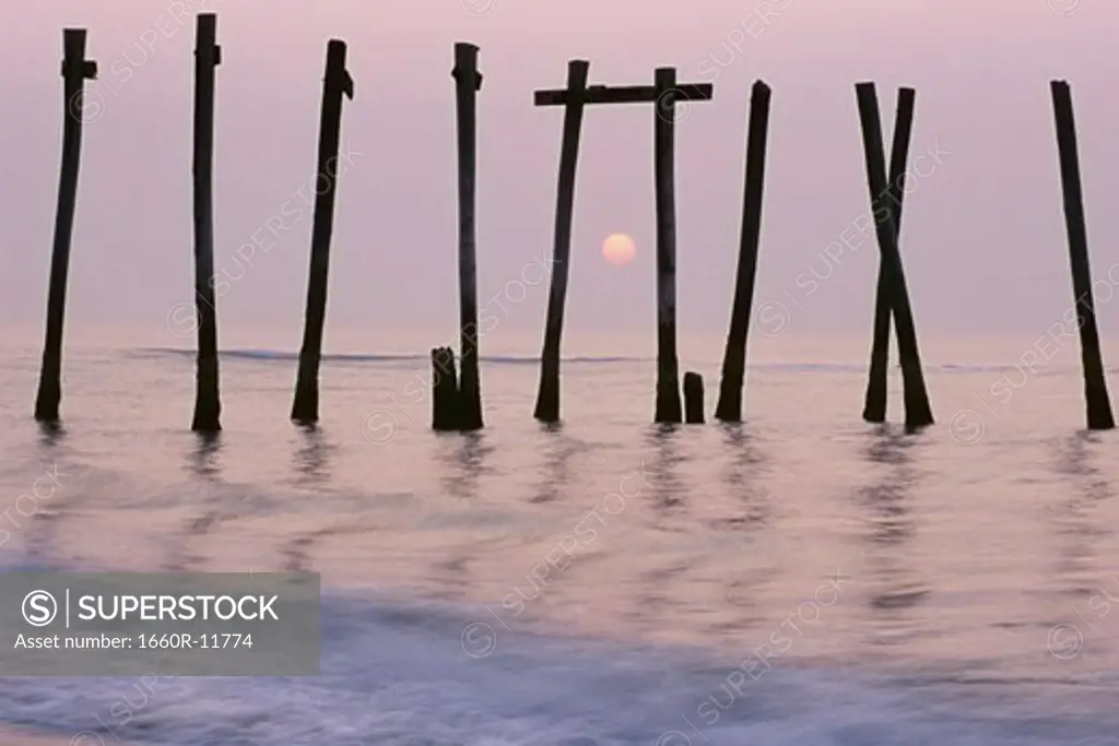 Wooden posts in the sea