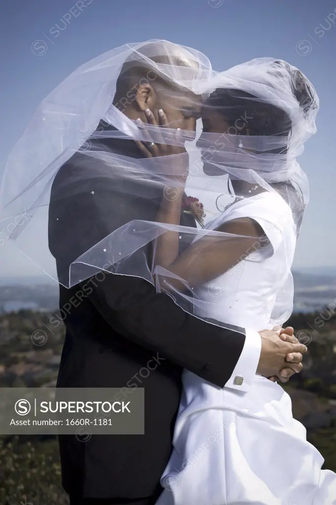 Profile of a newlywed couple under a veil