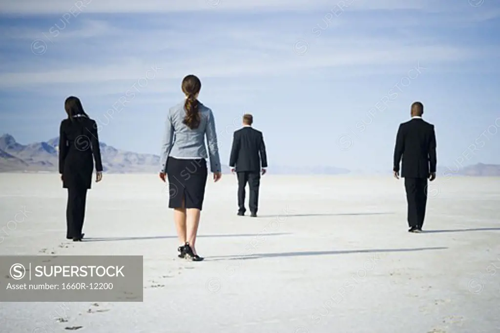 Rear view of two businessmen and two businesswomen walking together