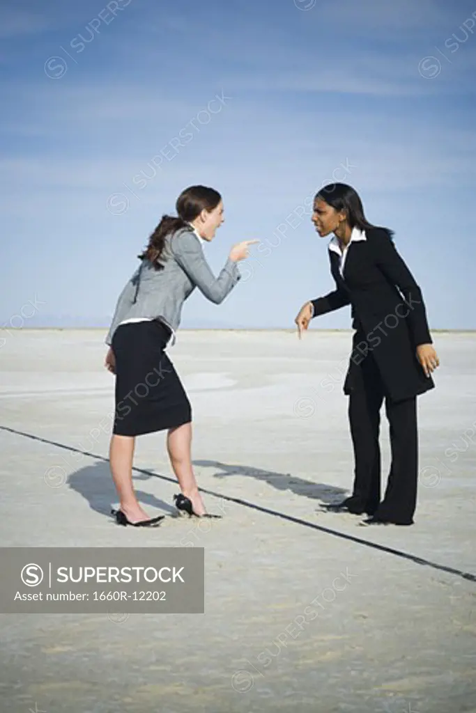 Profile of two businesswomen arguing