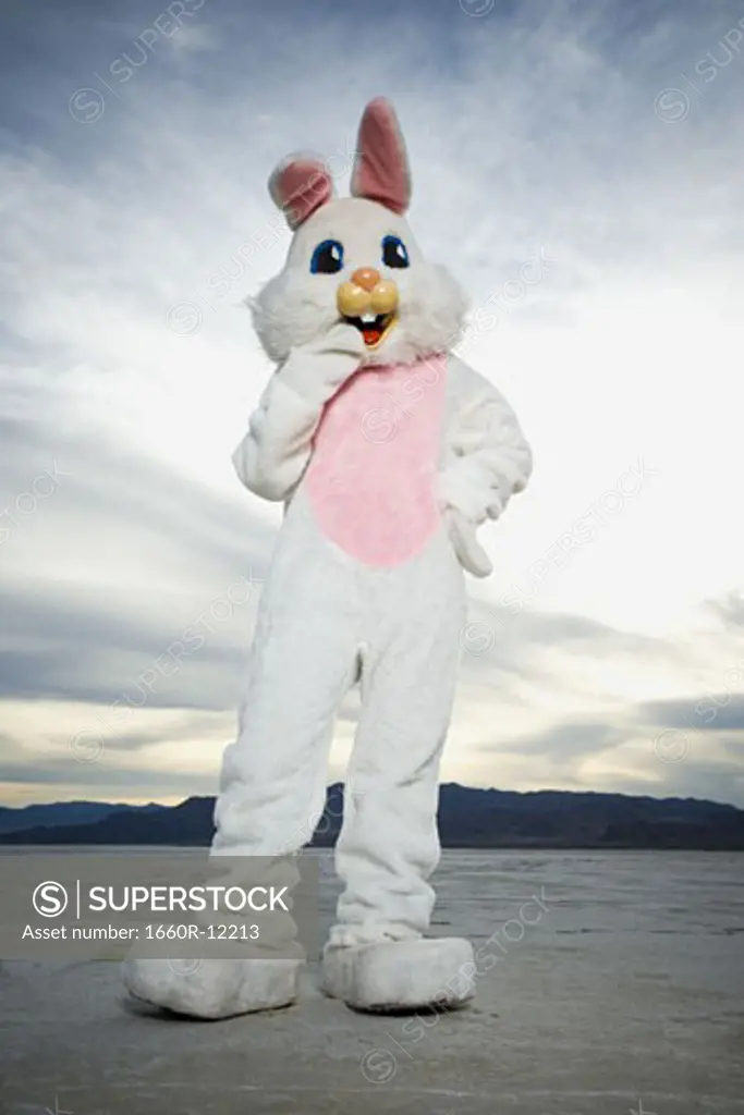 Person wearing a rabbit costume