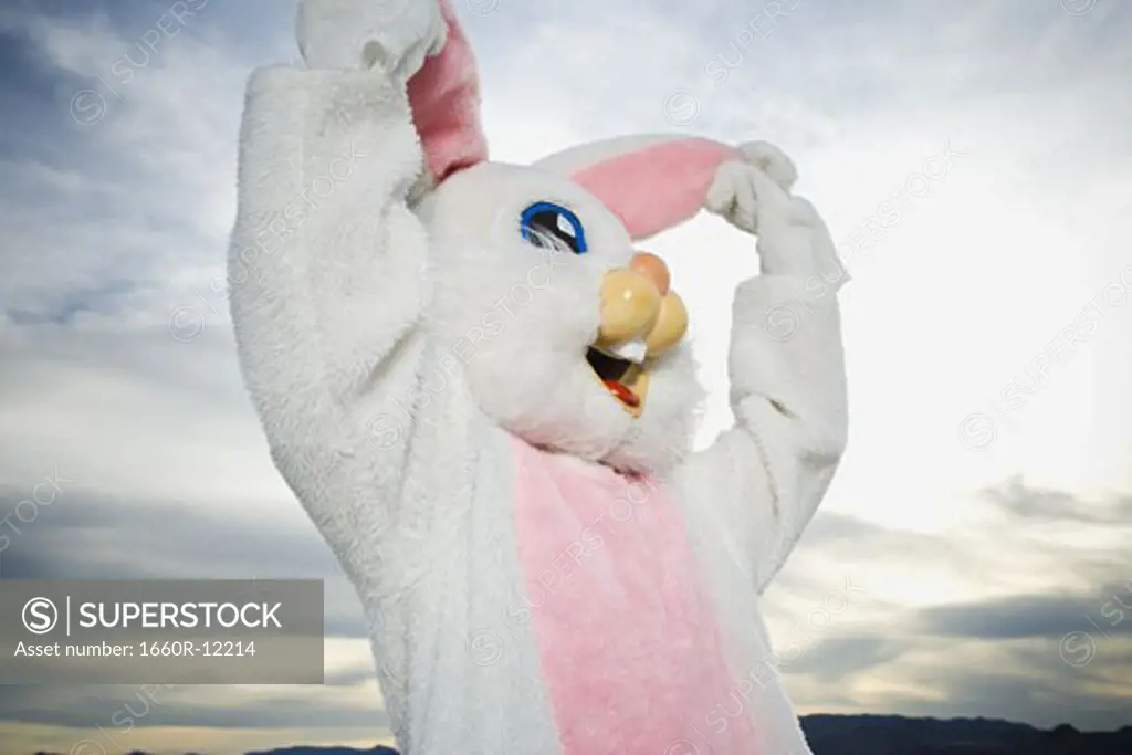 Close-up of a person wearing a rabbit costume