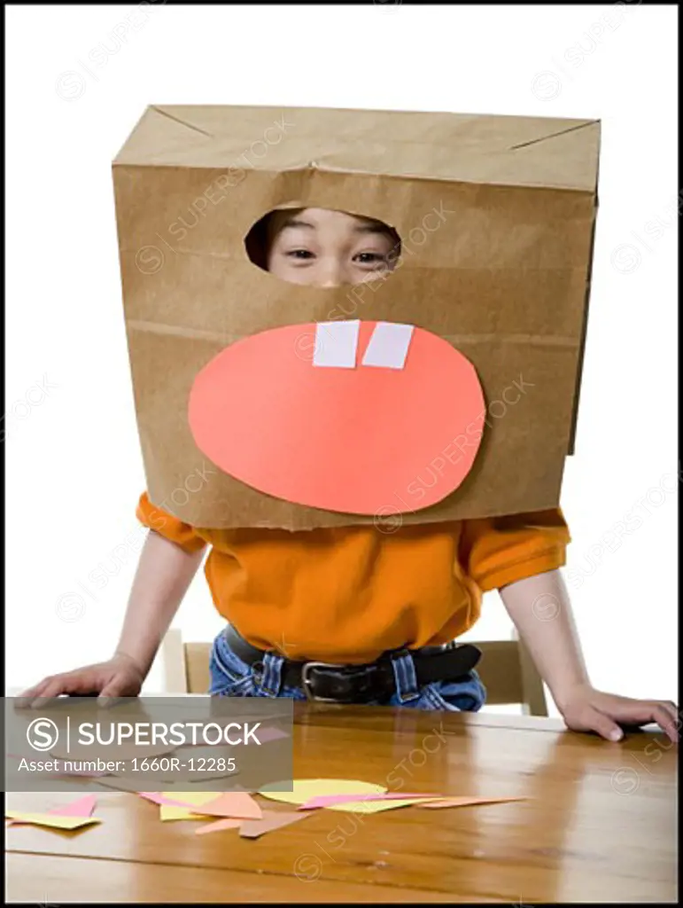 Portrait of a boy wearing a paper bag over his head