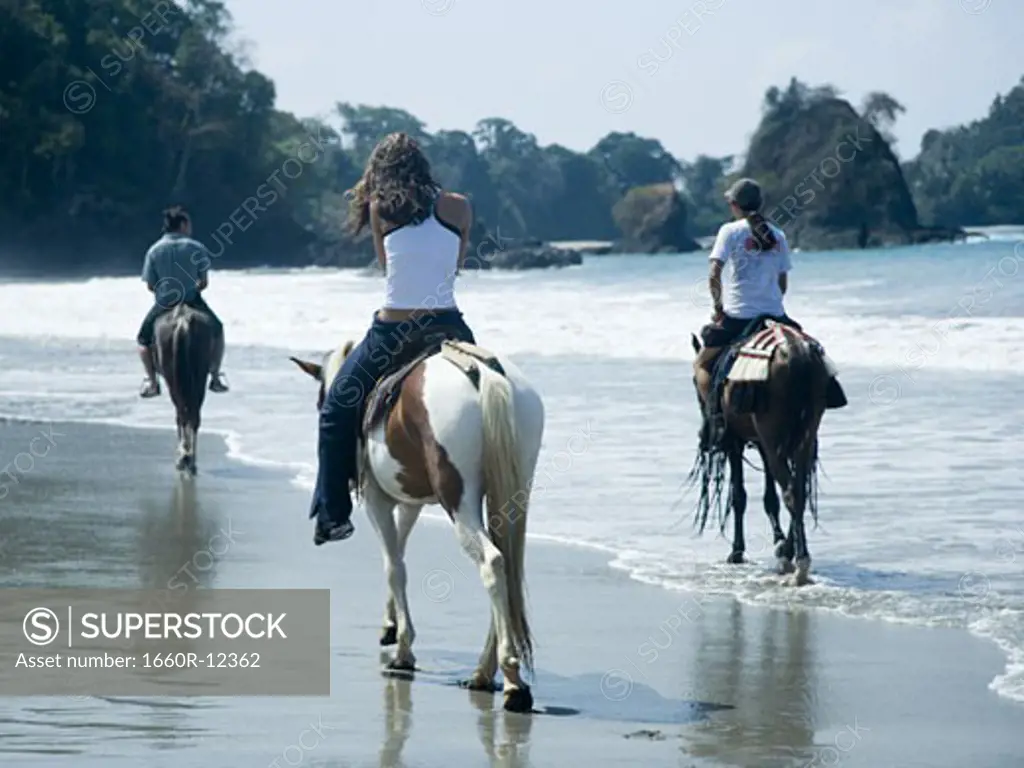 Rear view of three people riding horses on the beach