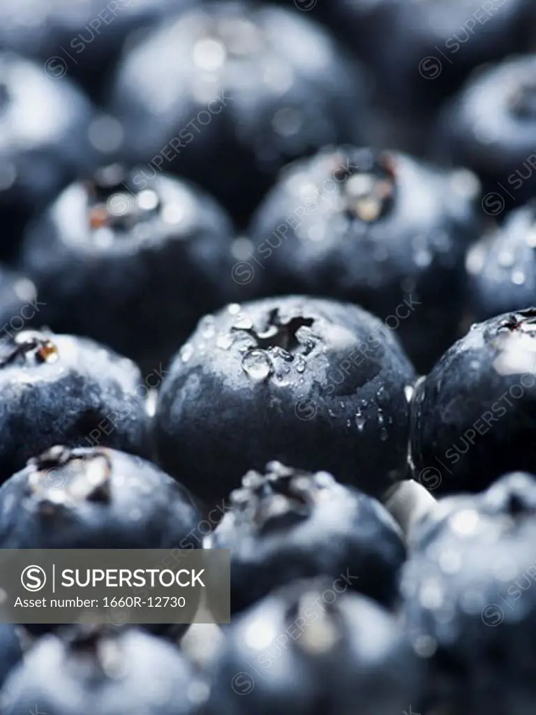 Close-up of blueberries