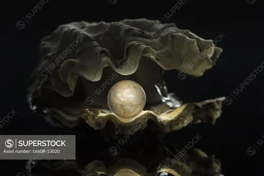 Close-up of a globe in an oyster