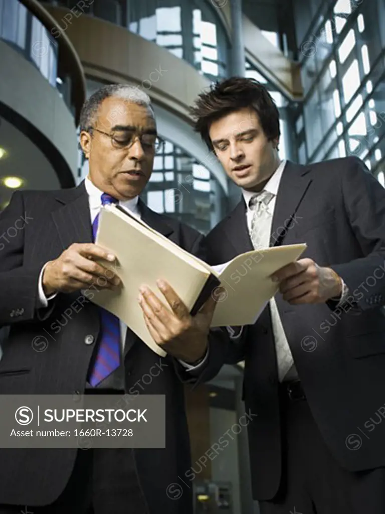 Two businessmen looking at documents