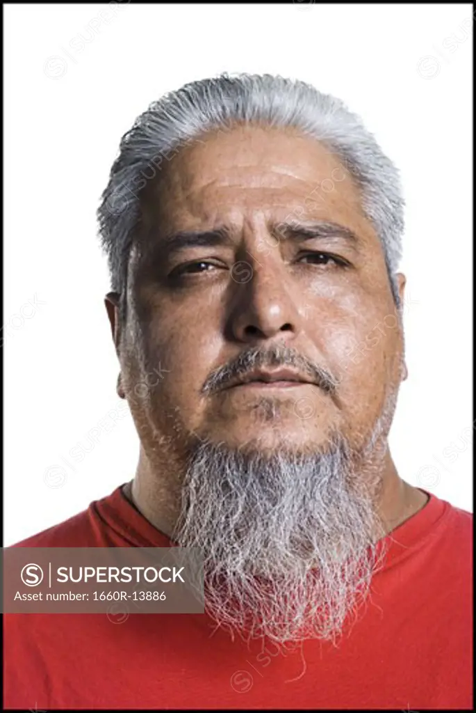 Older heavyset man with a long gray beard
