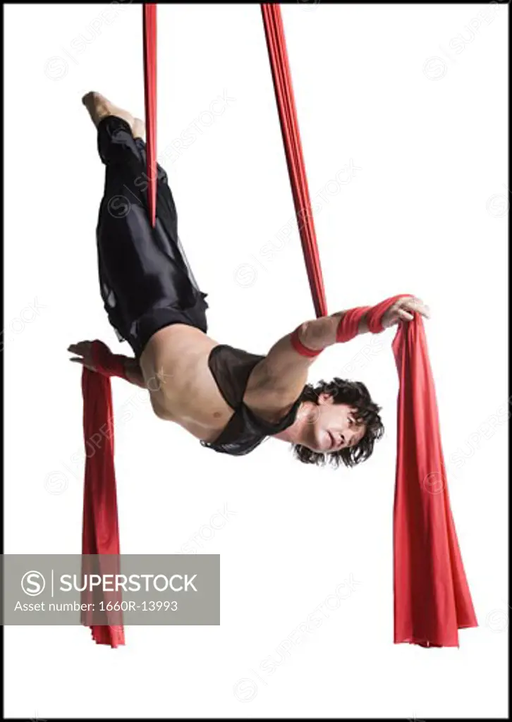 Male circus gymnast tangled in red drapes
