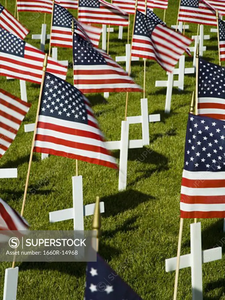 Cross markers with US flags