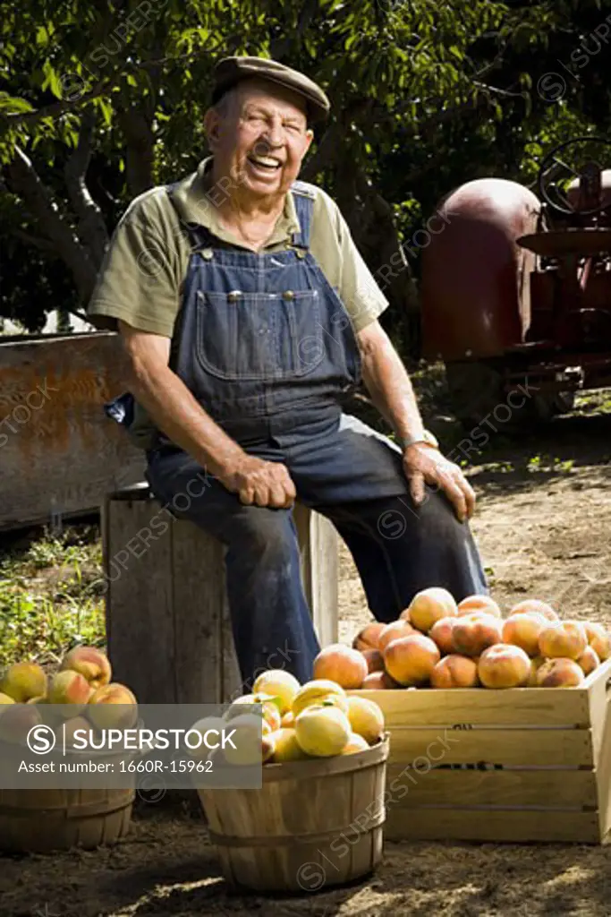 Farmer posing with baskets of peaches