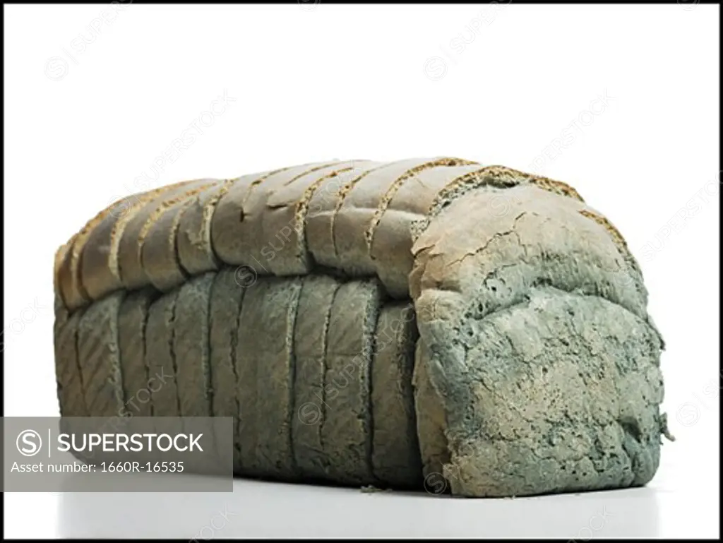 Moldy loaf of sliced bread