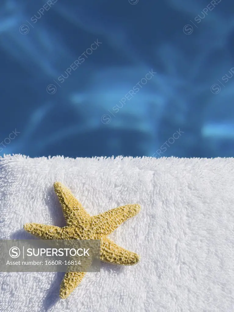 Close-up of a starfish on a towel