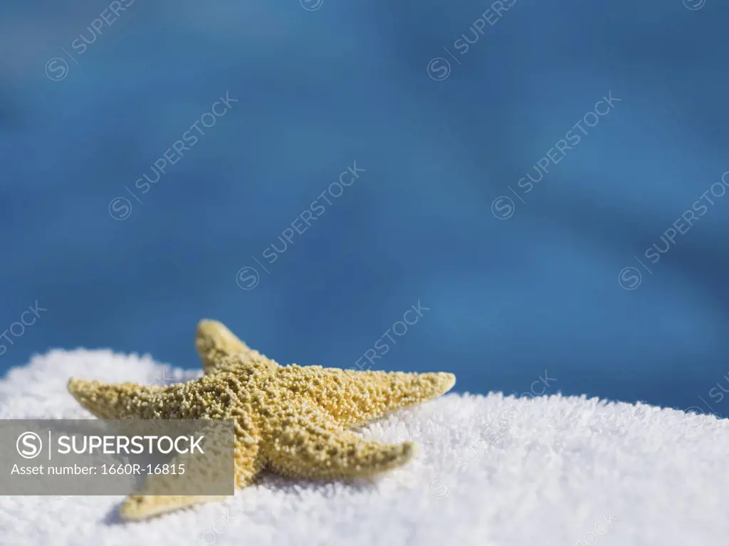 Close-up of a starfish on a towel