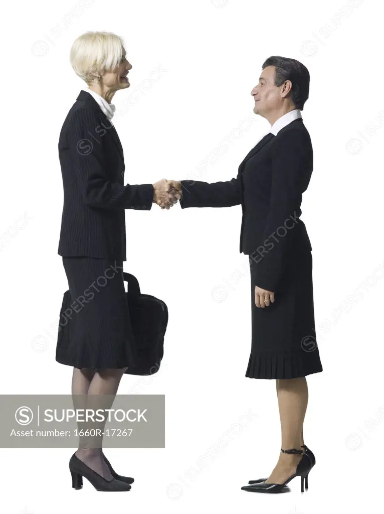 Mature businesswoman shaking hands with businesswoman with man's head