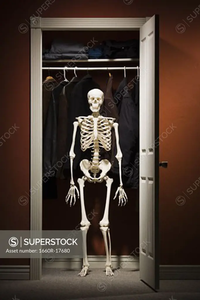 Skeleton standing in closet