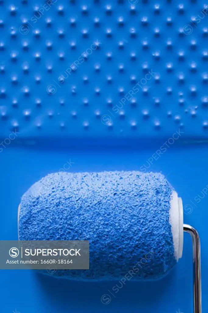 Paint roller in tray with paint