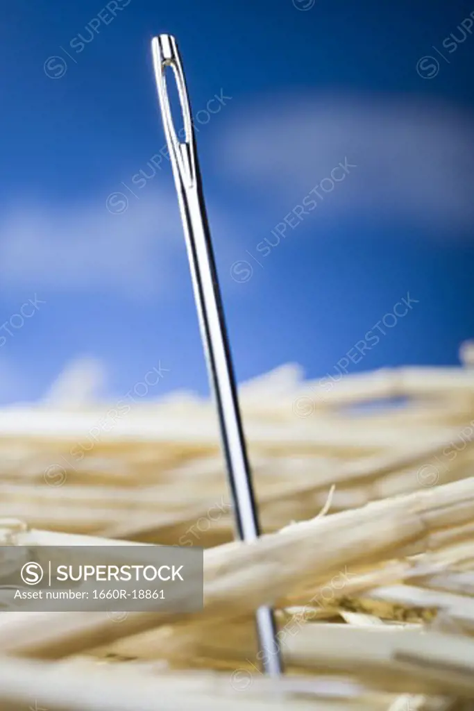 Detailed view of needle in a haystack