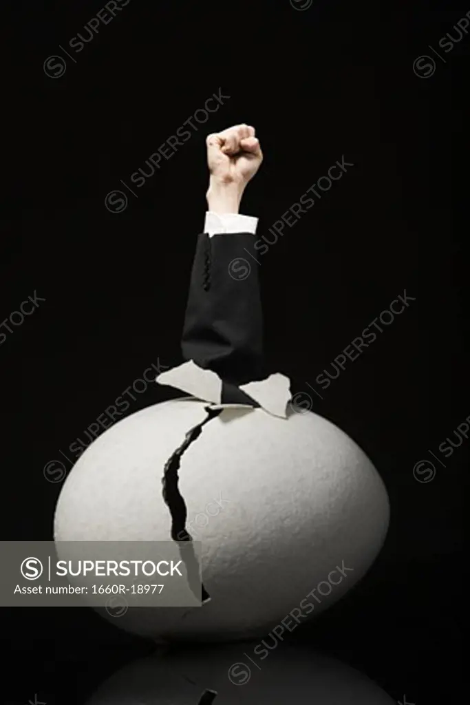Cracked egg with clenched fist in business suit emerging