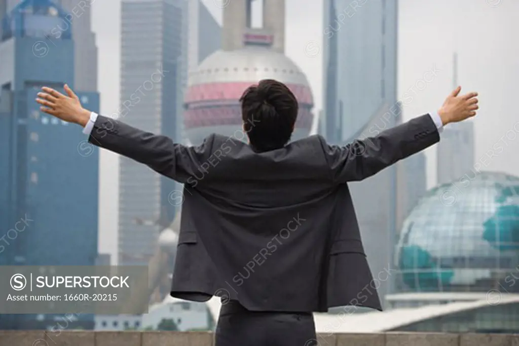 Rear view of businessman with arms up facing city skyline