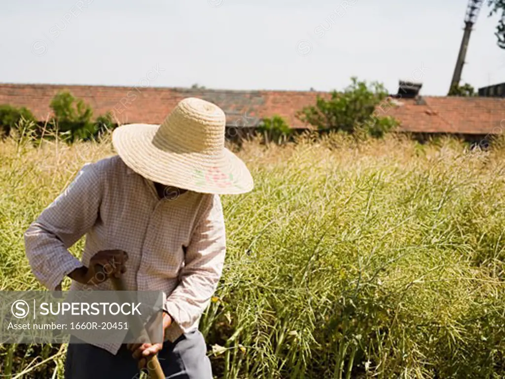 Person with straw hat working in farmer's field
