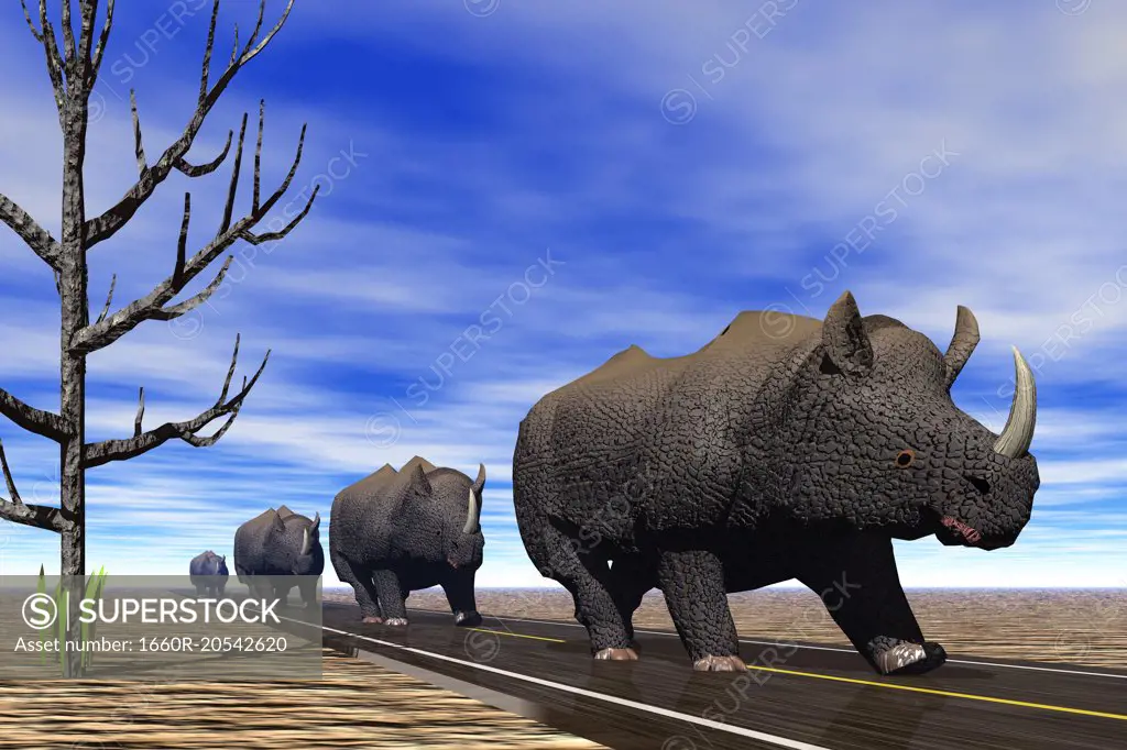 Rhinoceroses on road