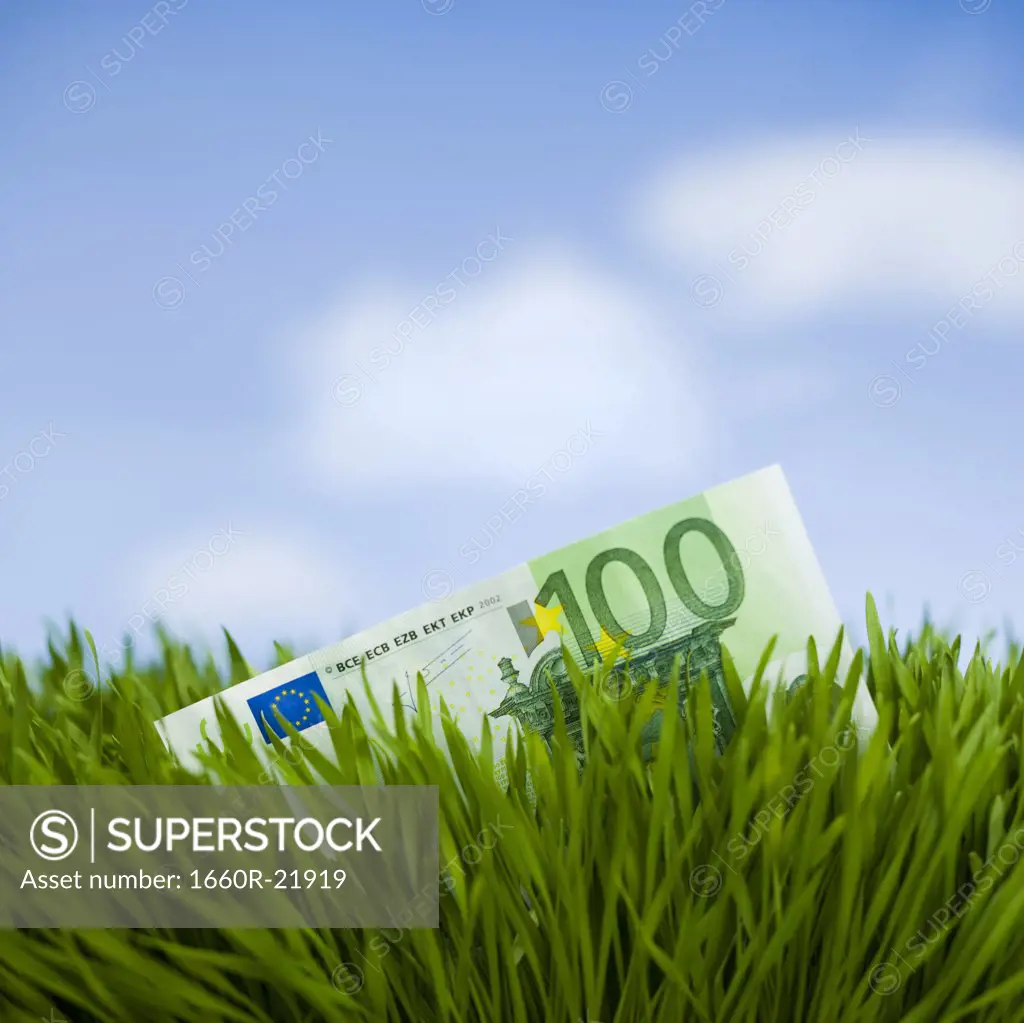 100 Euro note in the grass.