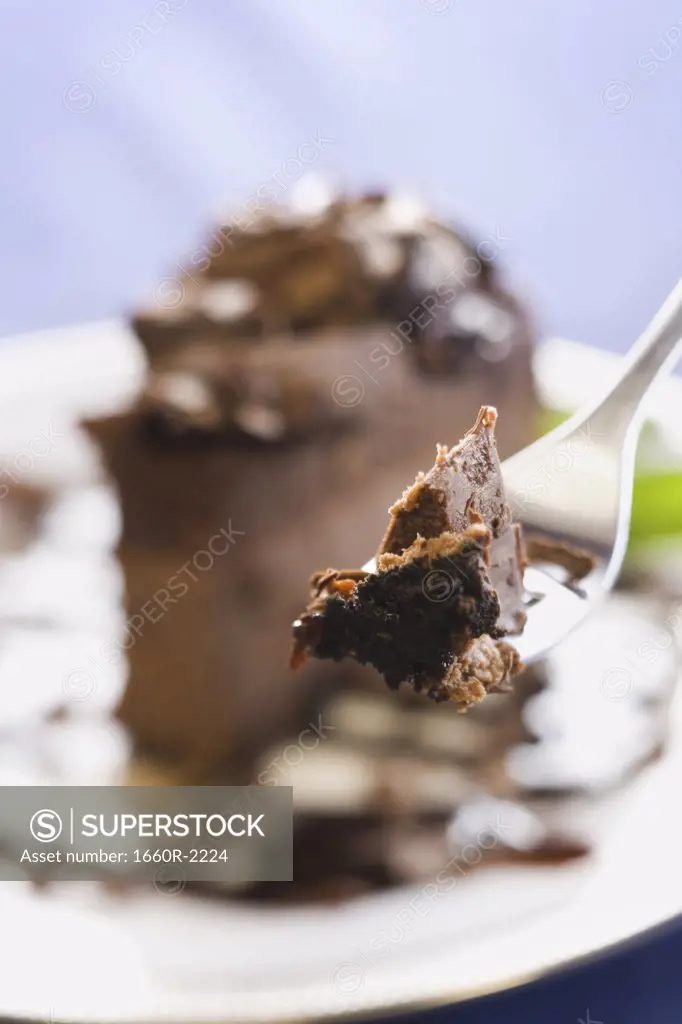 Close-up of chocolate cake on a fork