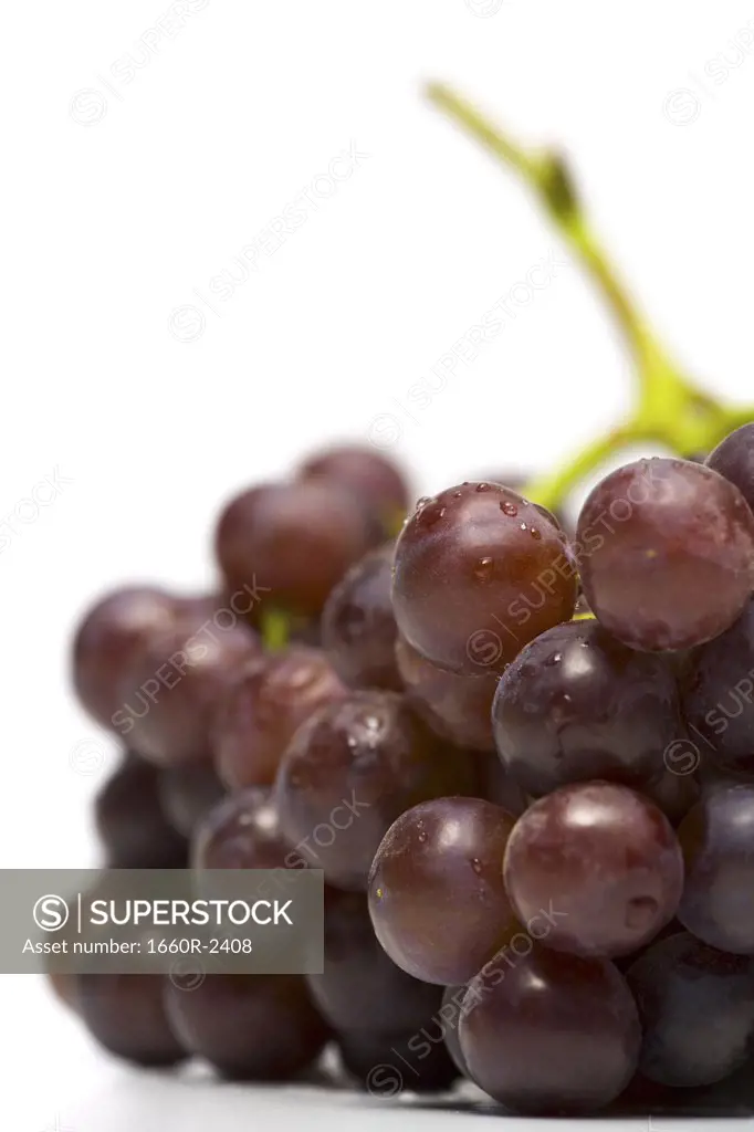 Close-up of a bunch of grapes (Citrus paradisi)