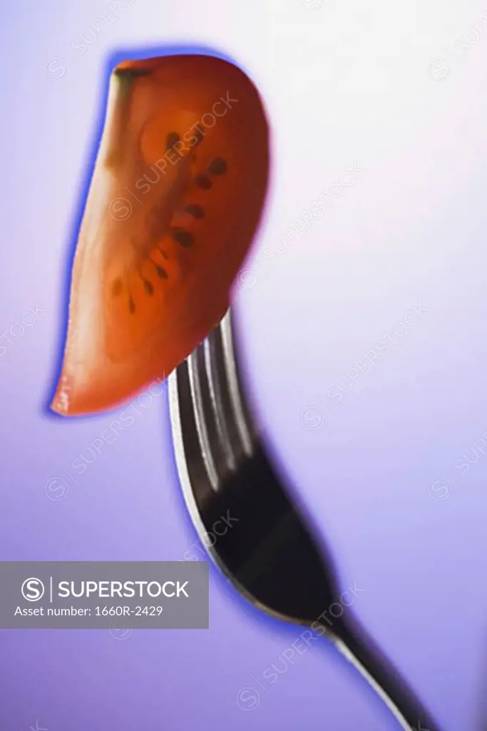 Close-up of a slice of tomato on a fork (Lycopersicon esculentum)