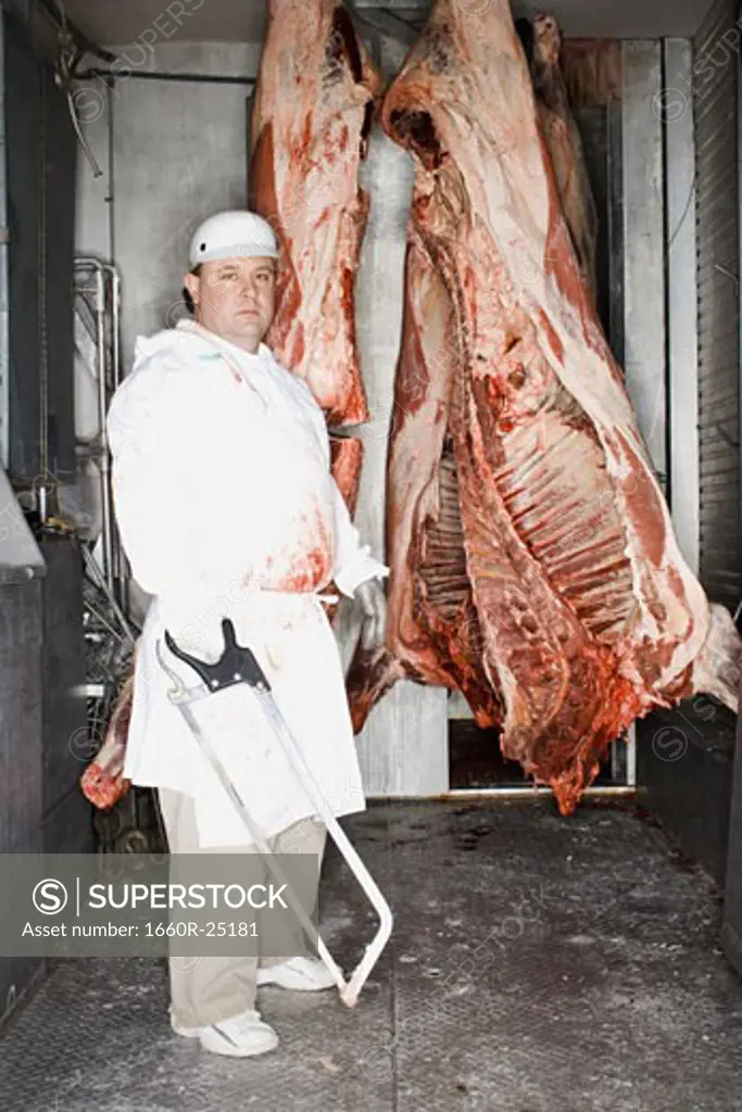 Butcher standing with hanging carcass