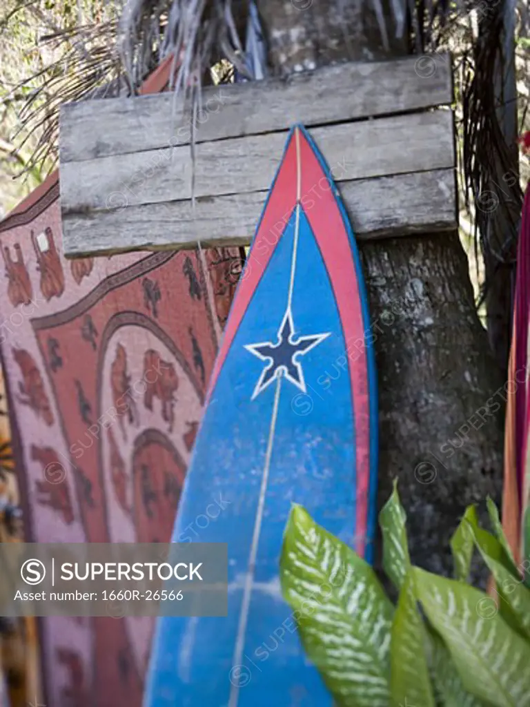 Surfboard against a tree