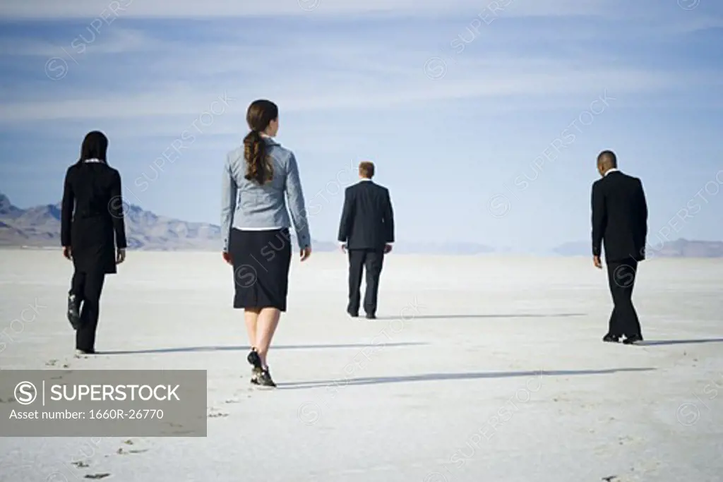 Rear view of two businessmen and two businesswomen walking together