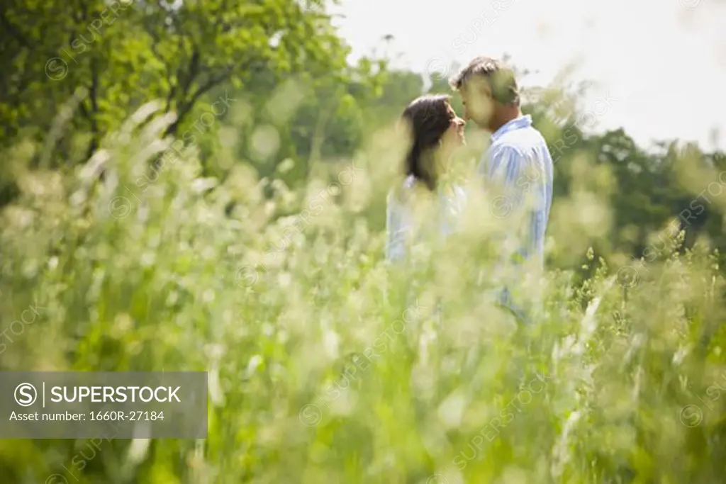 Profile of a man and a woman nuzzling in a field