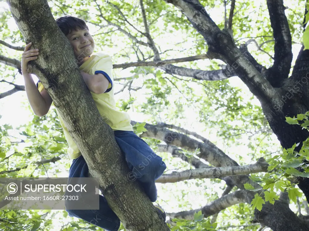 Low angle view of a boy lying on the branch of a tree