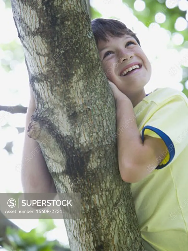 Low angle view of a boy lying on the branch of a tree