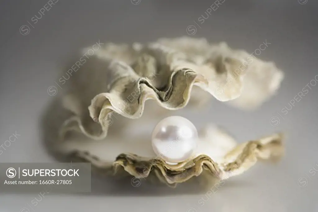 Close-up of a pearl in an oyster