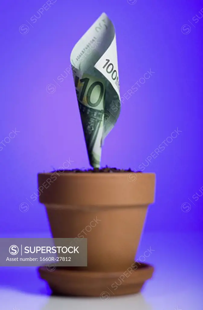 Close-up of one hundred Euro banknote growing in a flower pot