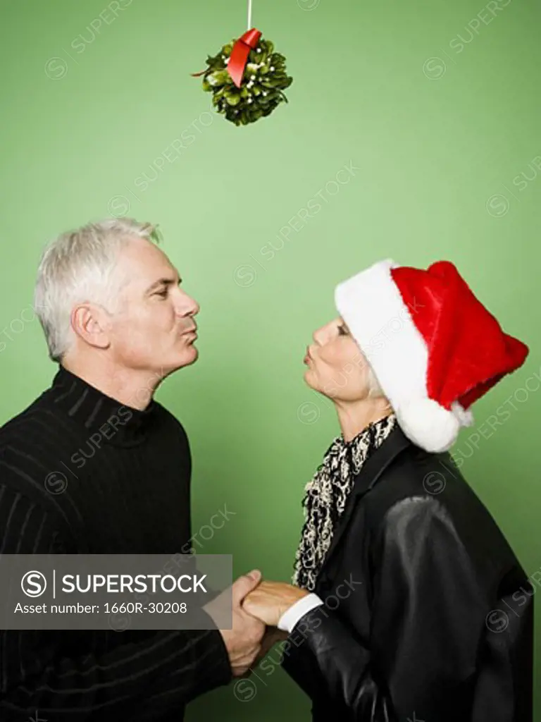 Couple celebrating Christmas with mistletoe