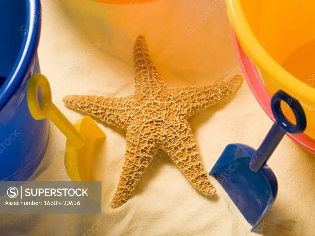 Starfish sand pail and beach toys