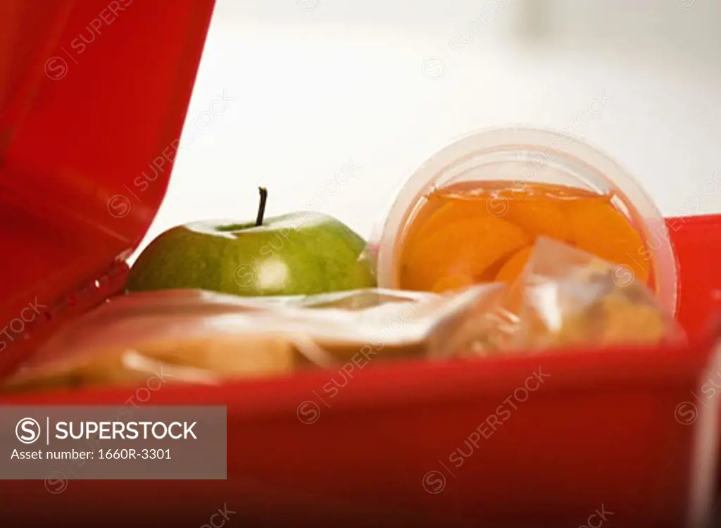 Close-up of the contents of a lunch box