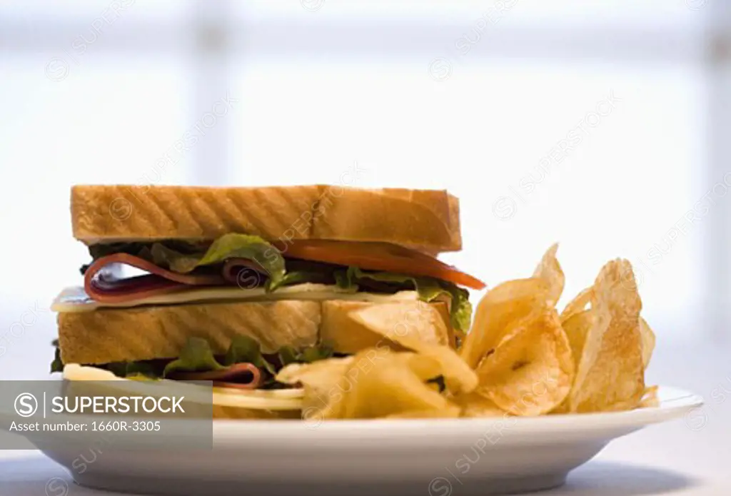 Sandwich and potato chips on a plate