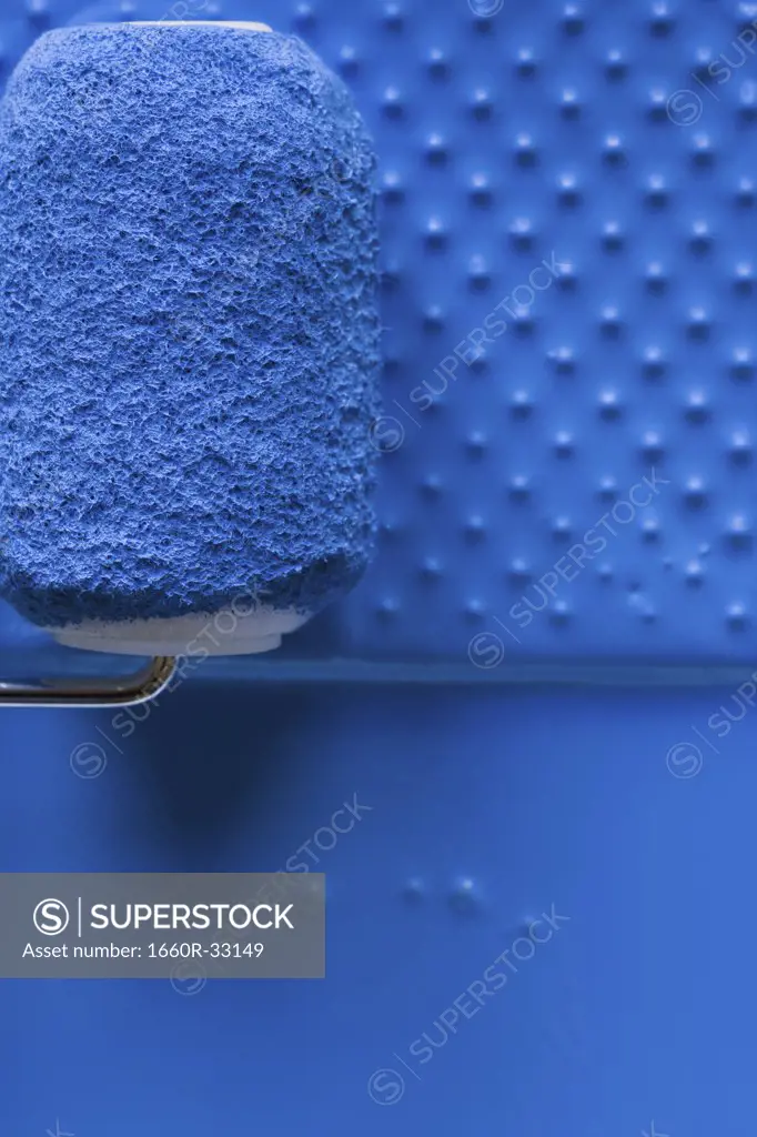 Paint roller in tray with paint