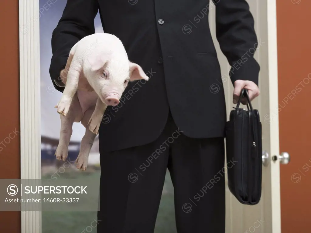 Businessman holding briefcase and piglet