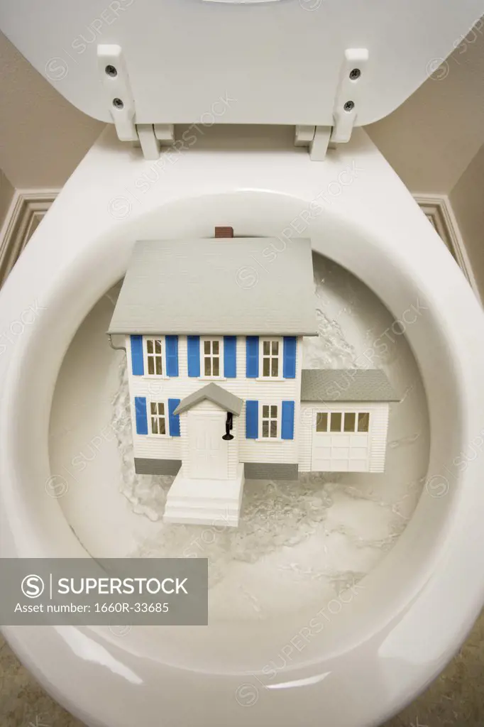 Close-up of toilet with toy house