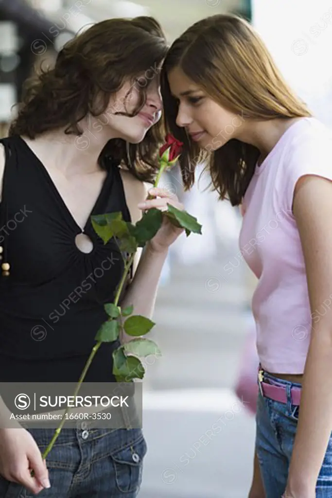 Two teenage girls smelling a rose