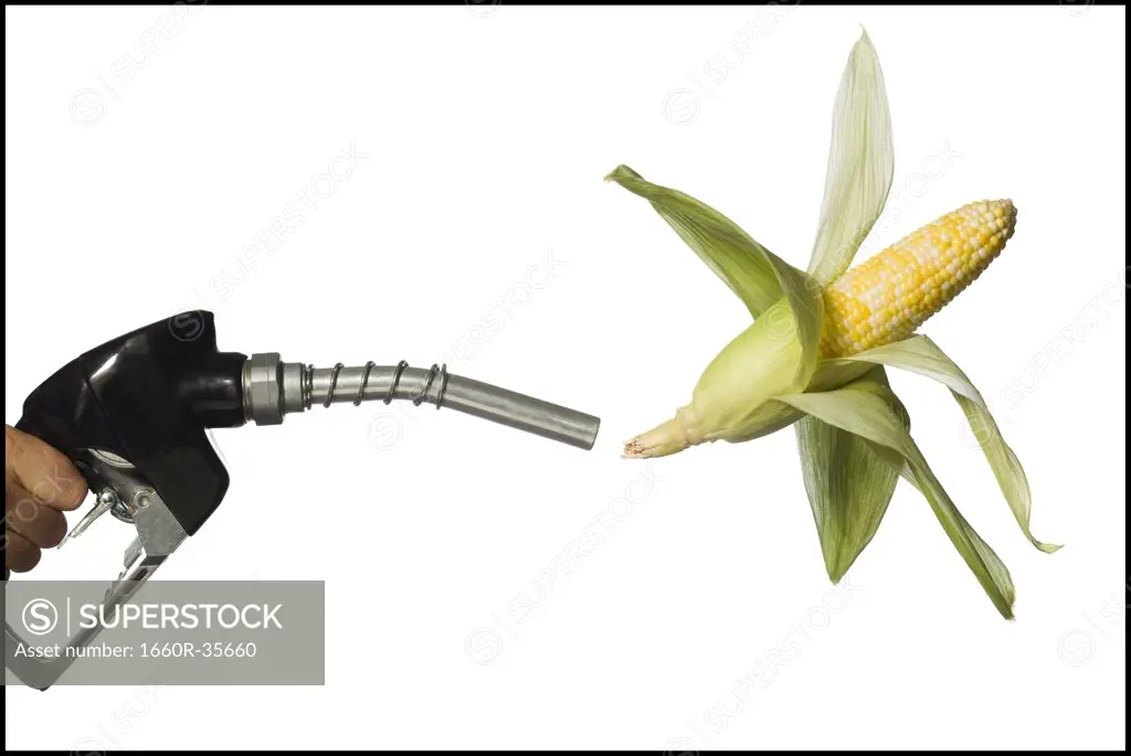Man holding gas nozzle with corn cob